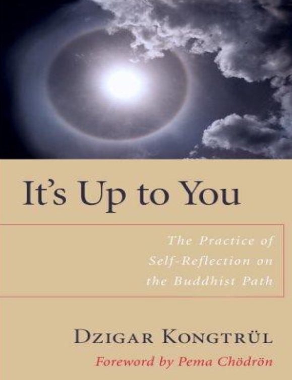 (image for) It Is Up to You by Dzigar Kongtrul Rinpoche (PDF)